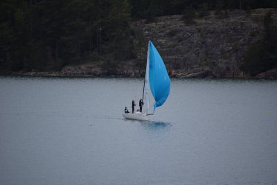 DSC_7105.JPG