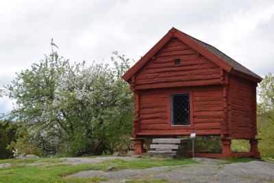 DSC_7206.JPG