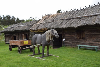 DSC_7207.JPG