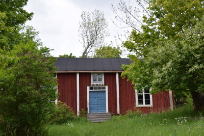 DSC_7233.JPG