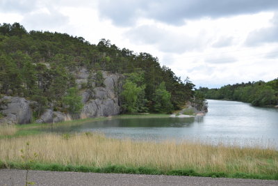 DSC_7235.JPG