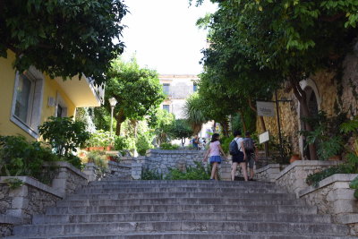 DSC_7974.JPG