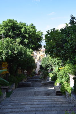 DSC_7979.JPG