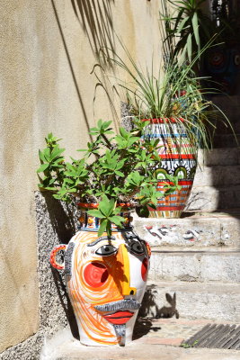 DSC_8042.JPG