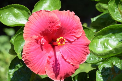 DSC_8134.JPG