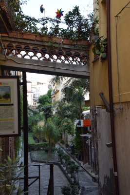 DSC_8415.JPG