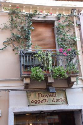 DSC_8418.JPG