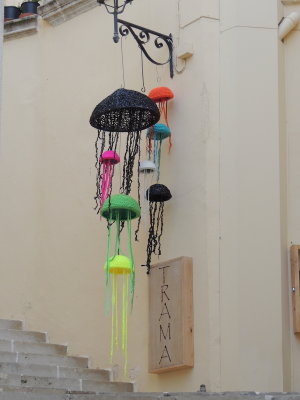 DSCN0120.JPG