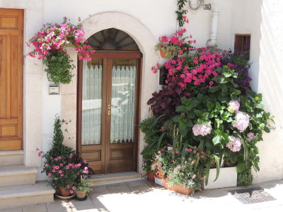 DSCN0311.JPG