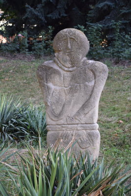 DSC_8584.JPG