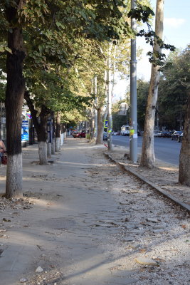 DSC_8682.JPG