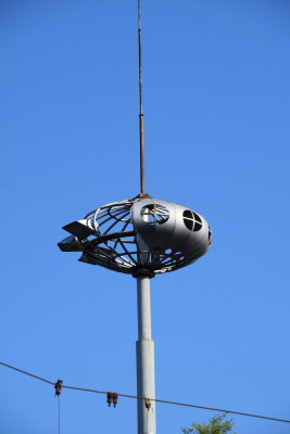 DSC_8919.JPG