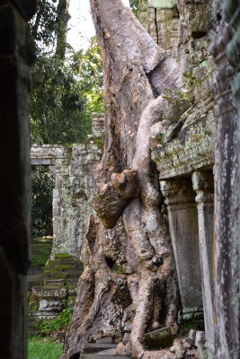 DSC_0655.JPG