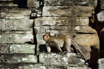 DSC_0687.JPG