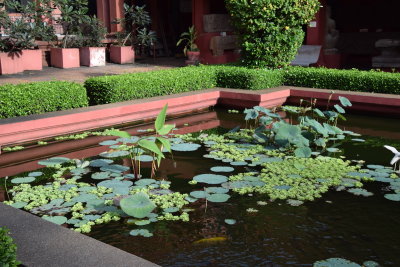 DSC_1698.JPG