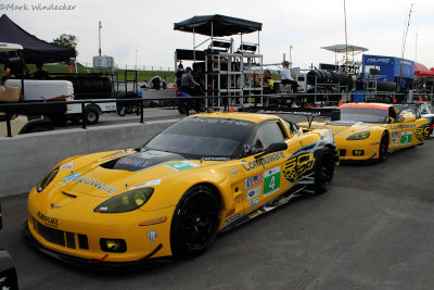 GT--Corvette Racing