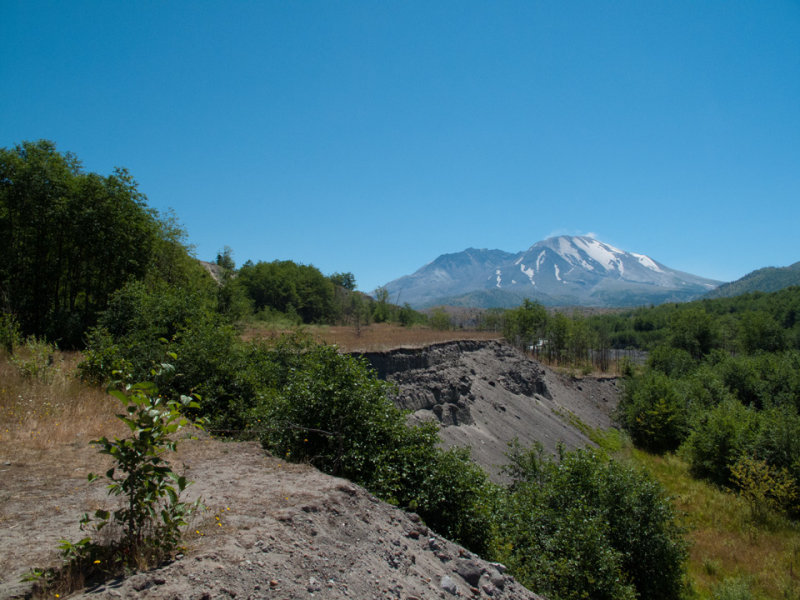 View from the Toutle river