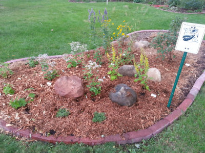 Front garden bed