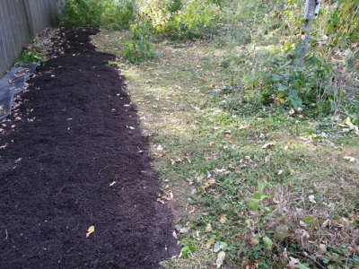 Seeded for poke milkweed