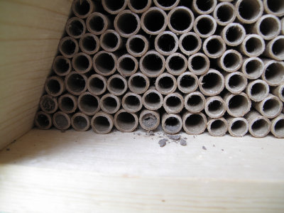 Native bee nesting shelter