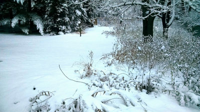 Winter garden after a heavy snow
