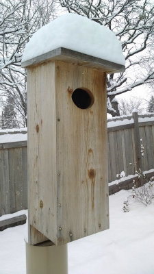 Wood duck box