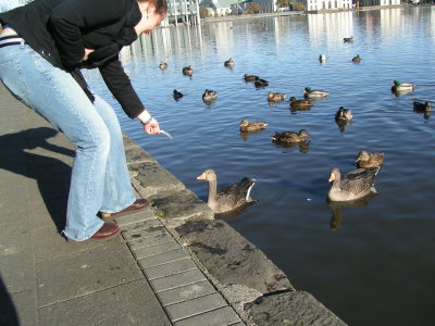 Rebecca trying to trick the water fowl.