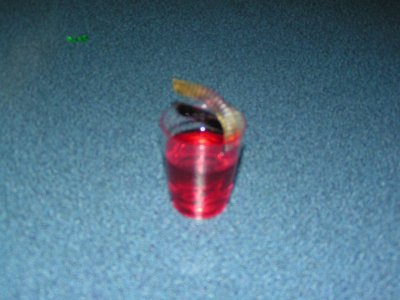 
Jello shots were oh so good.

Even the camera is seeing things a little blurry.