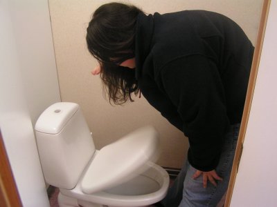 How often do you see a woman using the toilet standing up?

This is the result of a few too many beers/stolen drinks/vodka.