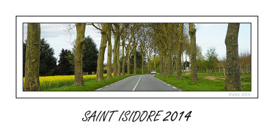 Saint Isidore 2014