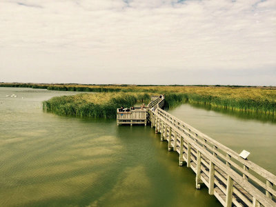marsh-water-boarwalk.jpg