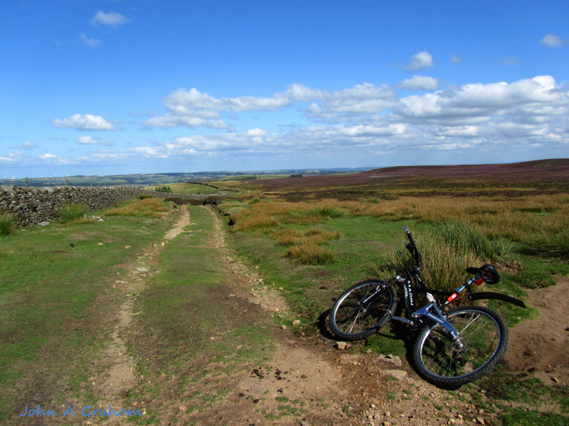 A nice day on the moor