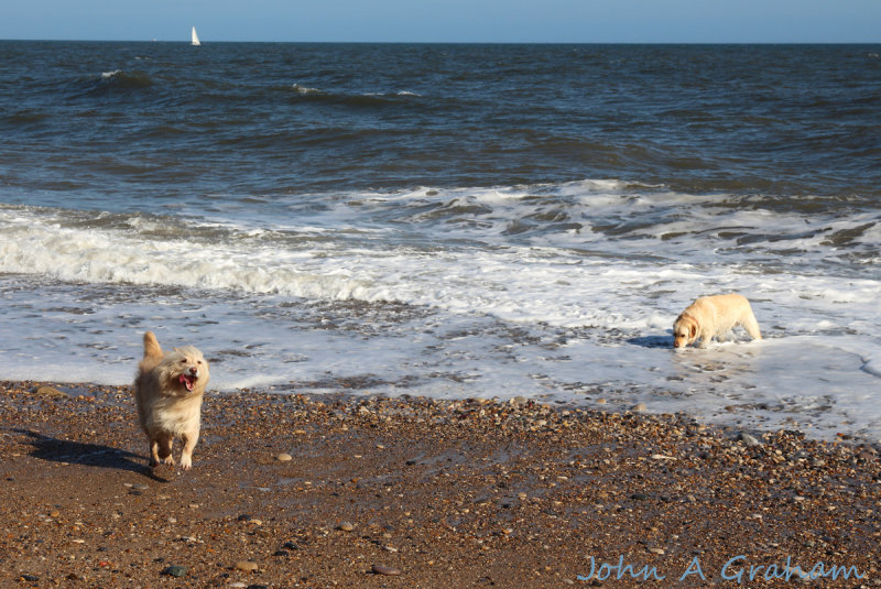 Sam tries to empty the North Sea