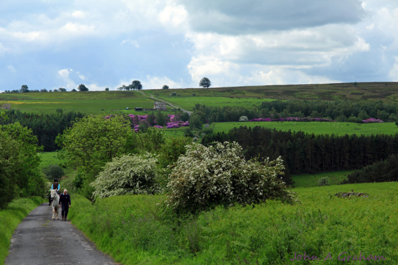 St Johns