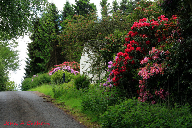 St Johns cottage