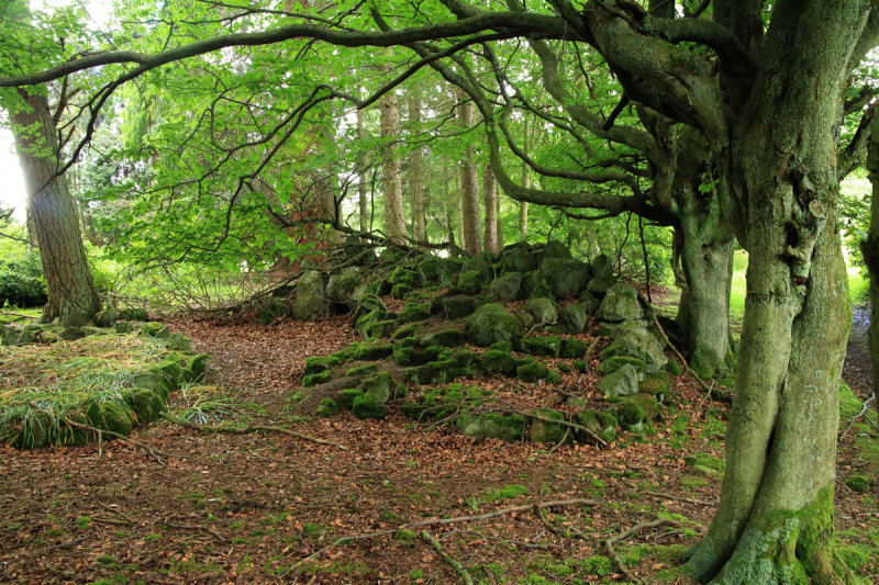 Mossy