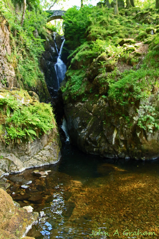 Aira force