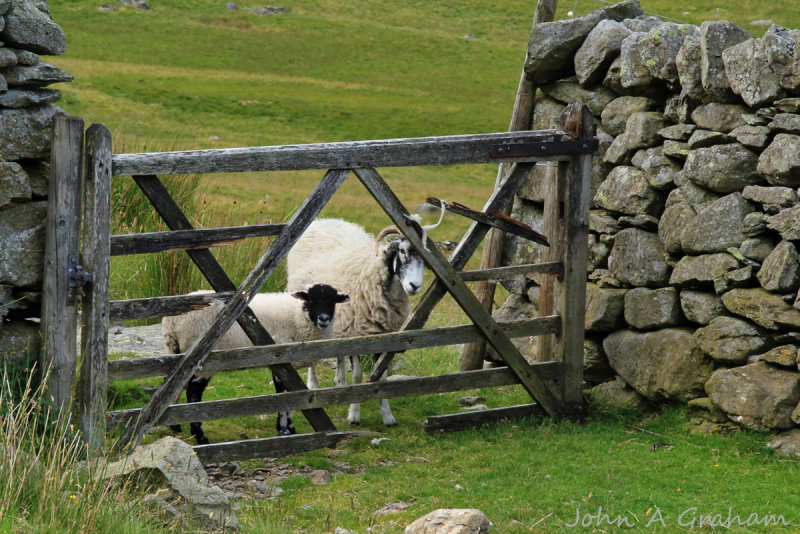 Holey gate