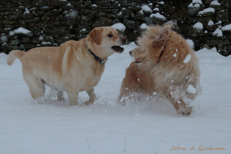 Kicking up the snow