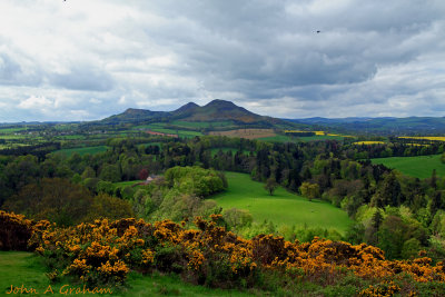 Kelso May 2014