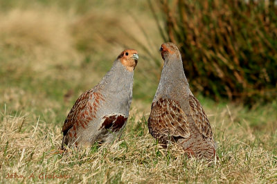 g9/61/523761/3/159657257.Z90Kcnm0.jpg