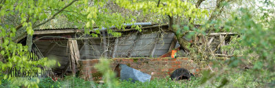 decaying_chicken_shed_1.jpg