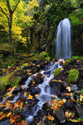 Lancaster Falls, Autumn Study