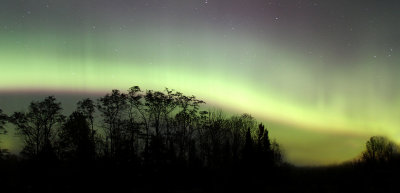 Aurora_1362.jpg