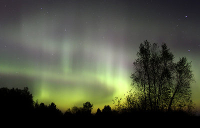 Aurora_1382.jpg