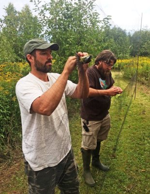 NRF Field Trip 2016 - Bird Banding