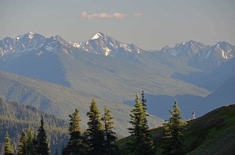 Hurricane Ridge