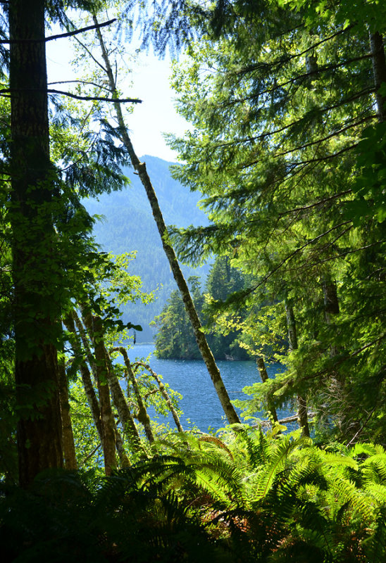 Lake Crescent from Spruce Railroad Trail
