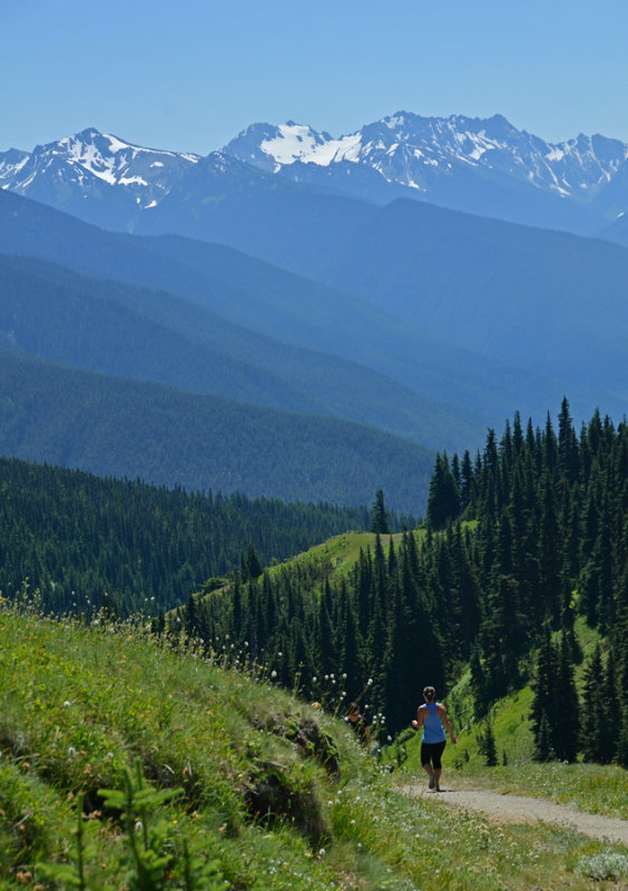 From Hurricane Hill Trail