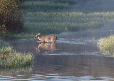 2014_northern_michigan